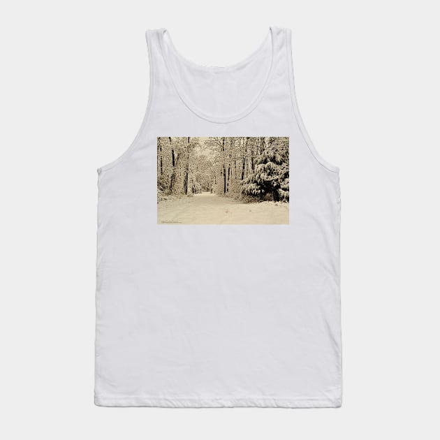 Southern Illinois Winter Scene 3_ Dec 2012 Tank Top by michaelasamples
